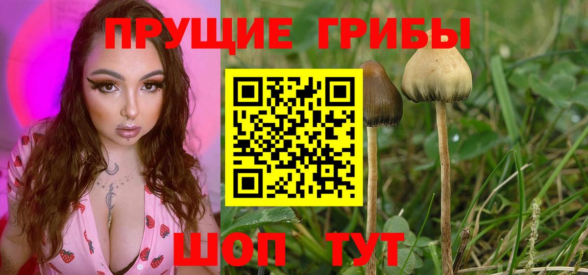 Галлюциногенные грибы GOLDEN TEACHER Чистополь