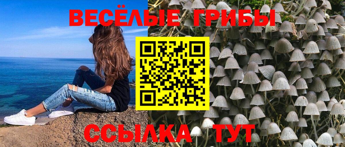 Галлюциногенные грибы MAGIC MUSHROOMS  Галлюциногенные грибы ЛСД  Чистополь  Вход с VPN 